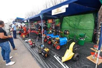 Más de 900 animales en la Feria de Ganado de Gran Canaria (Foto TA)